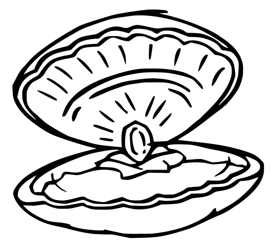 Cockle Clam Coloring Page - Free Printable Coloring Pages for Kids