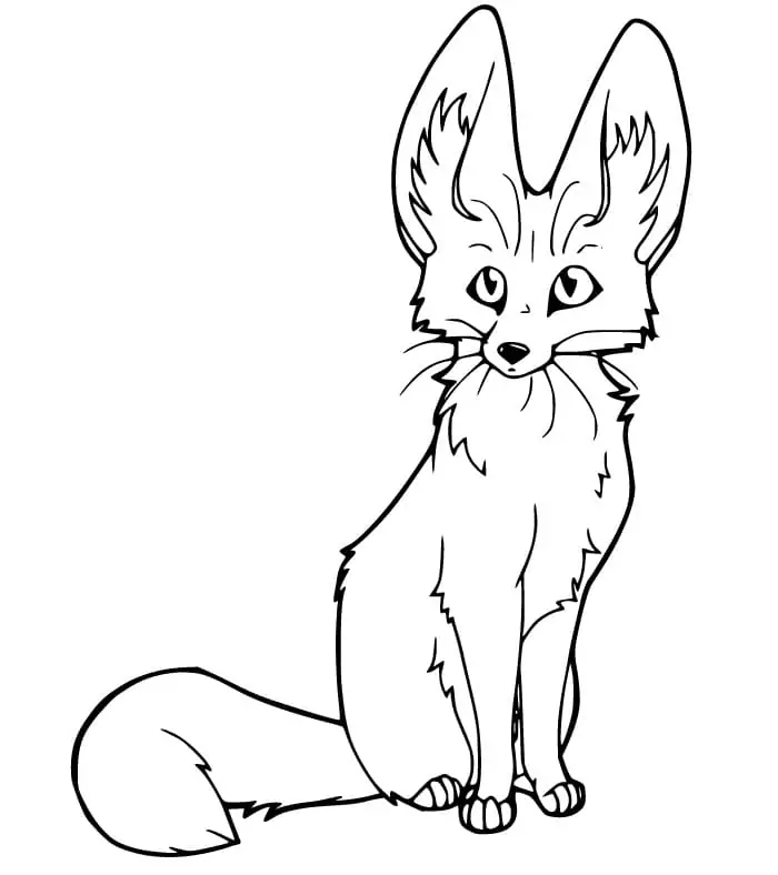 Confused Fennec Fox