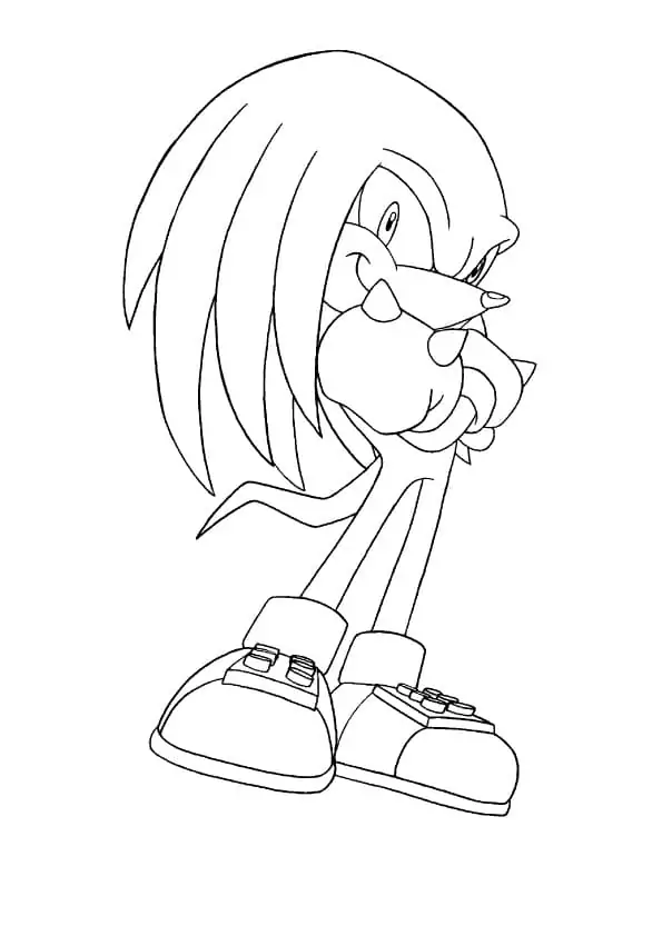 Cool Knuckles The Echidna