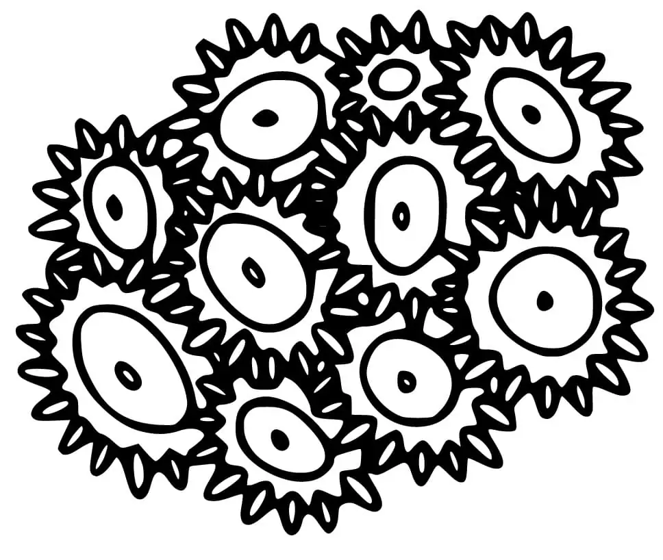 Coral Reef Coloring Page Free Printable Coloring Pages for Kids