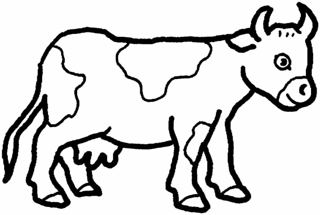 Cow 3