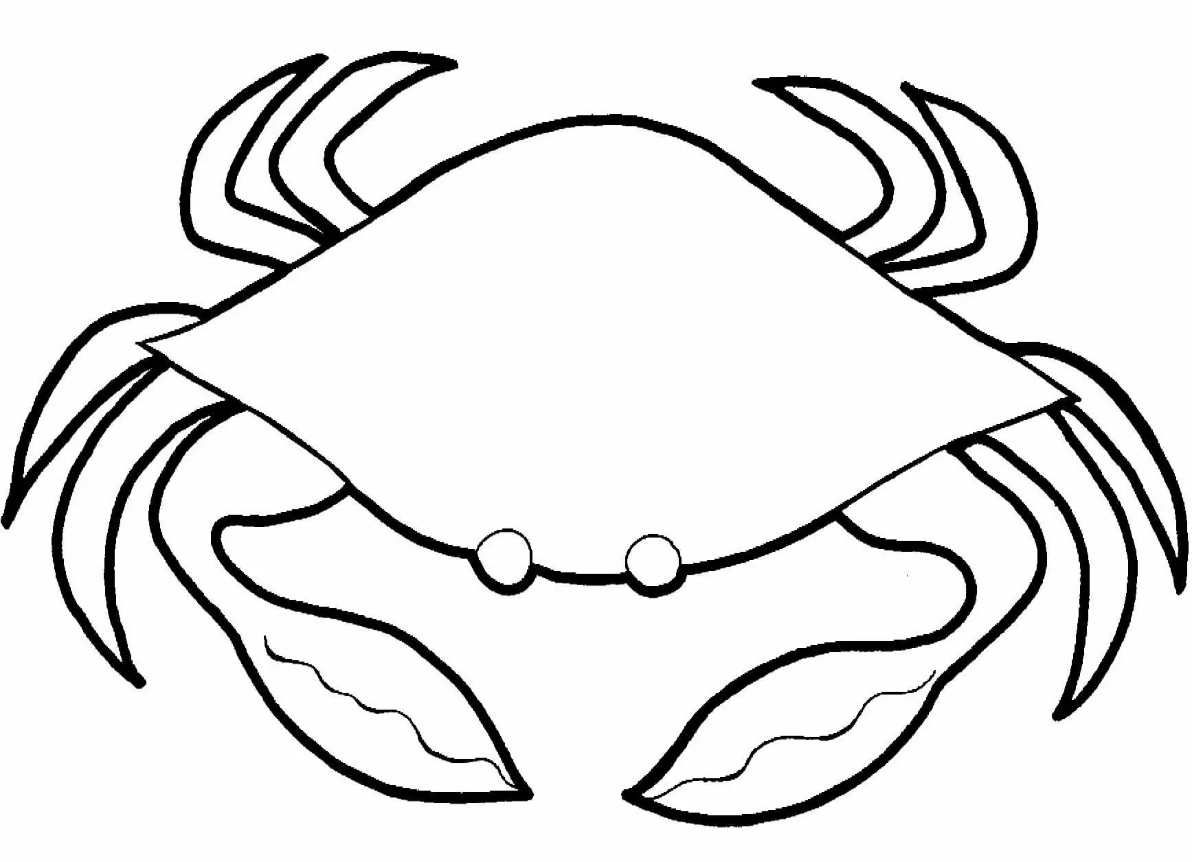 Krabbe 1
