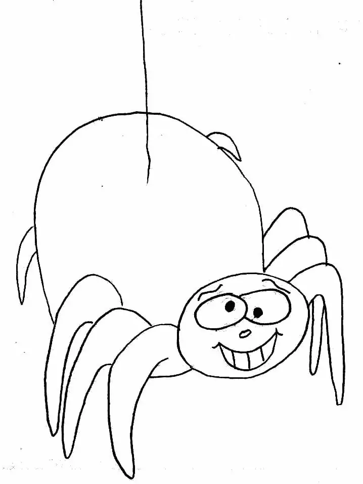 Crazy Spider