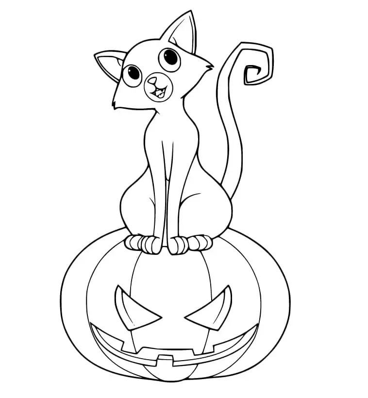 Cute Cat on Jack O Lantern