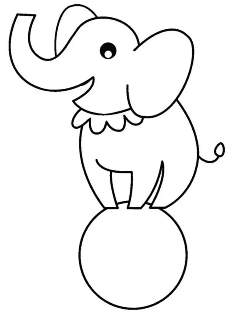 Cute Elephant for 1 Year Old Kids