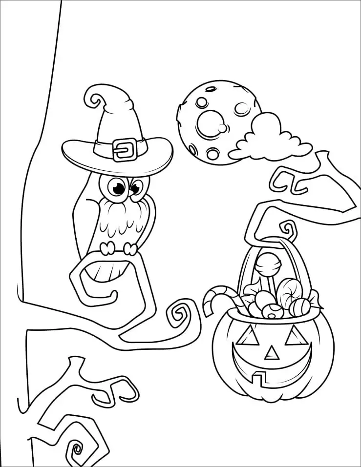 Cute Halloween Owl and Candies