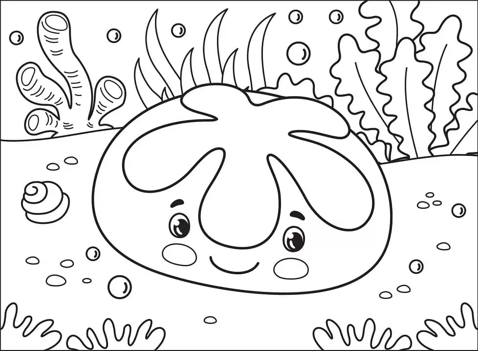 Seashells by MillhillSand Dollar Coloring Page Free Download