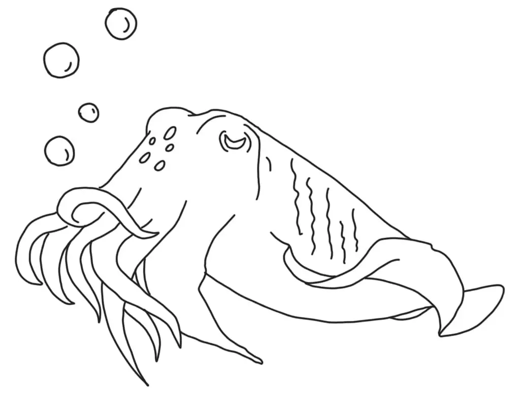 Cuttlefish Printable