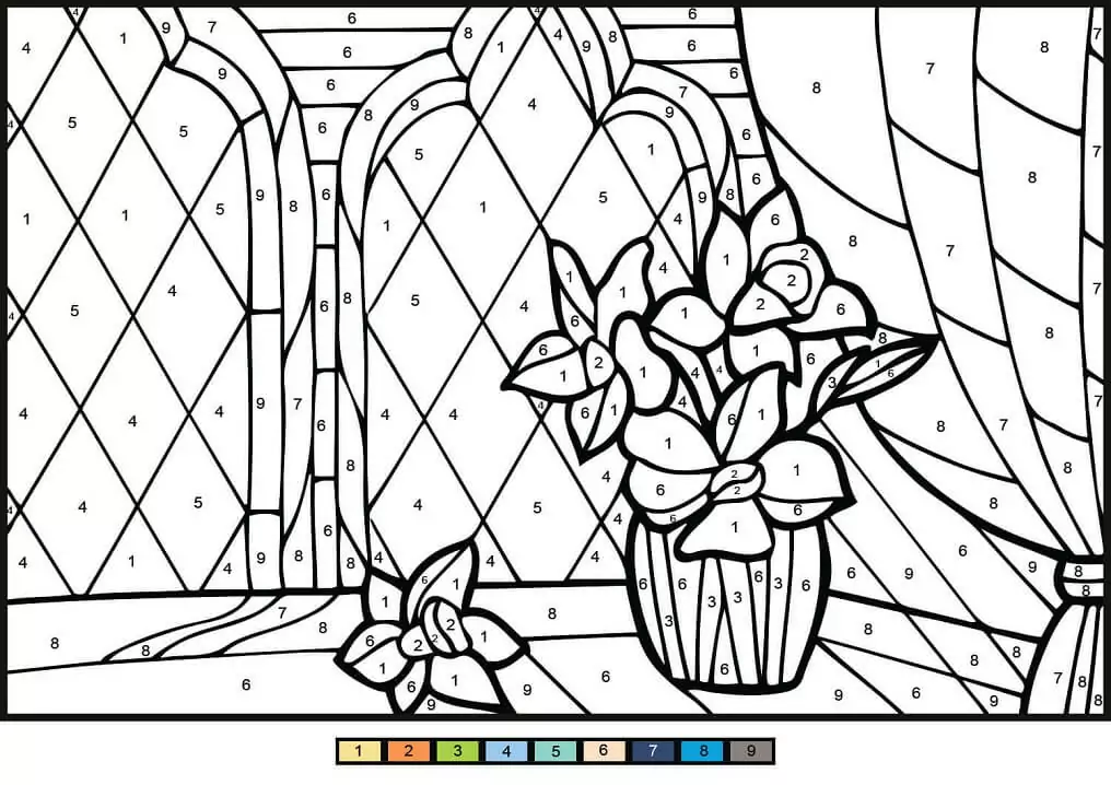 Adult And Advanced Color By Number Coloring Page