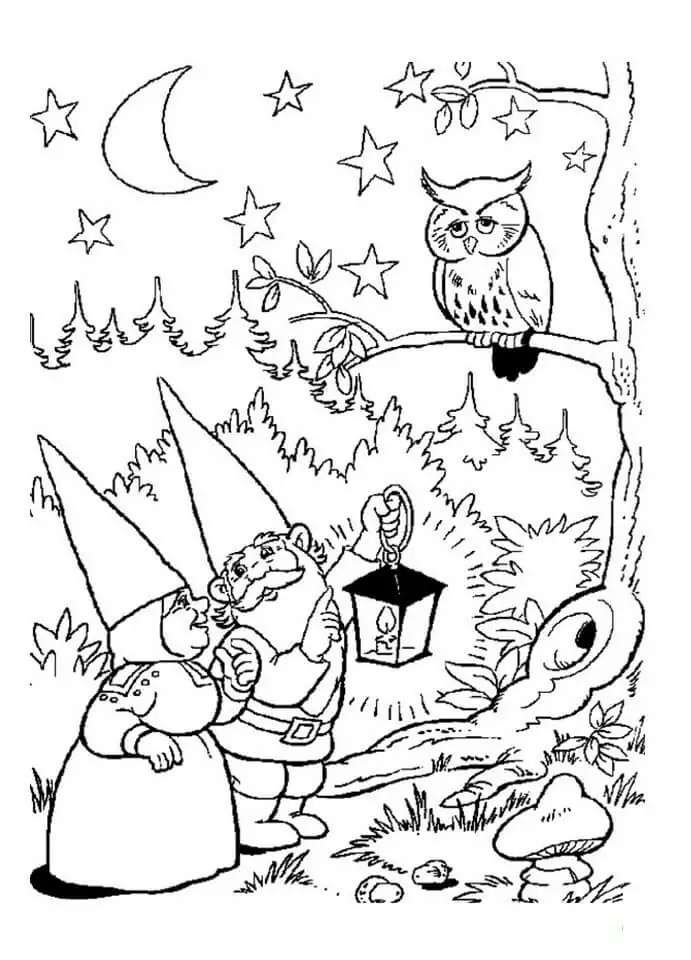 David the Gnome and Owl