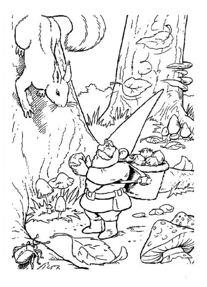 David the Gnome and Squirrel