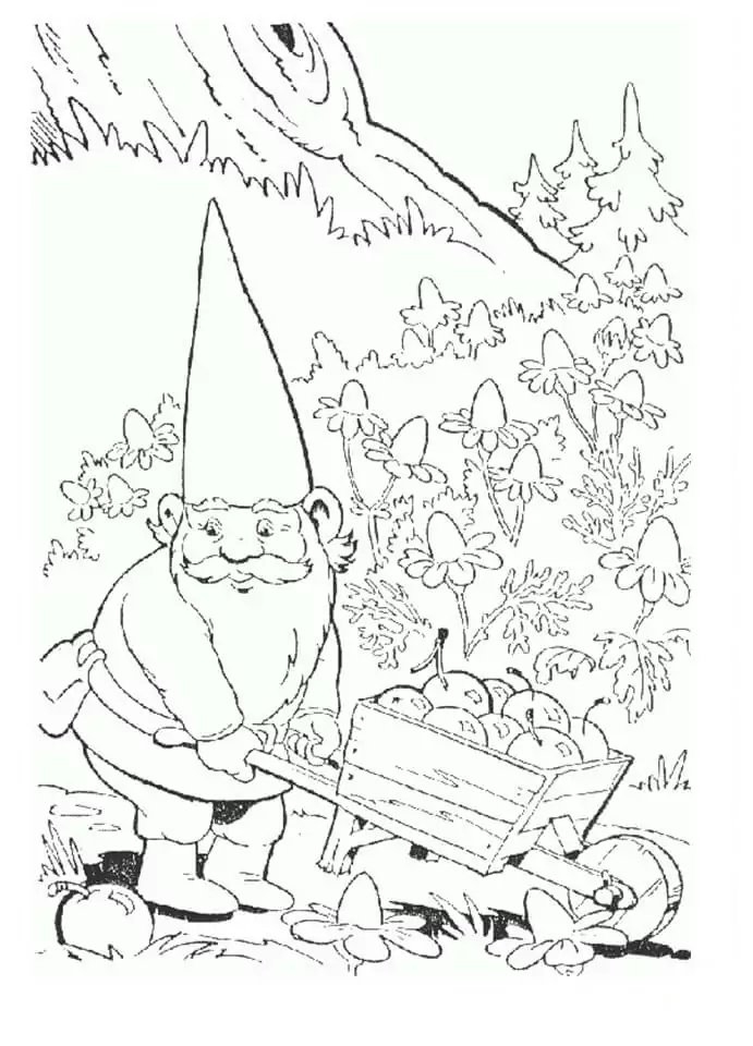 David the Gnome 4