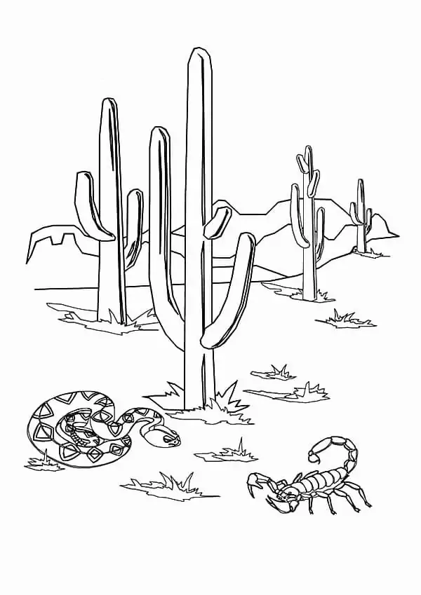 Desert Scorpion and Snake