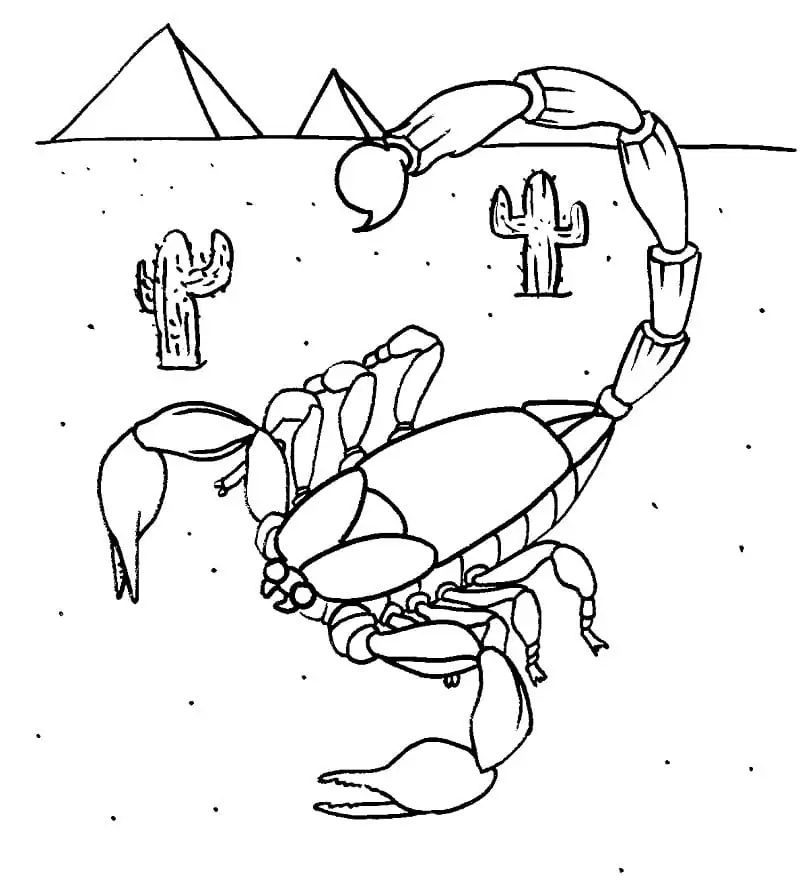 Wüsten-Skorpion