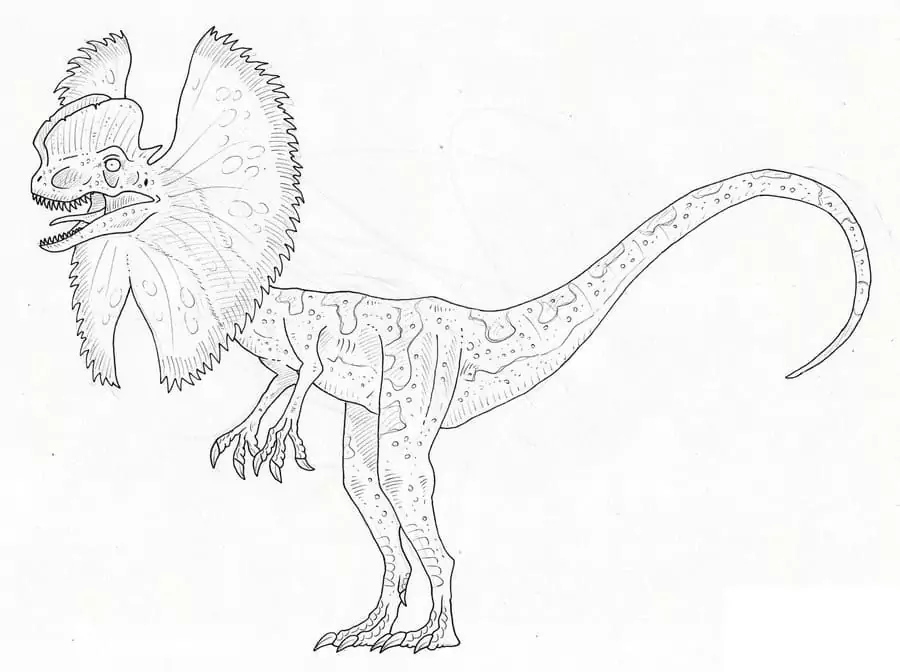 Dilophosaurus Printable