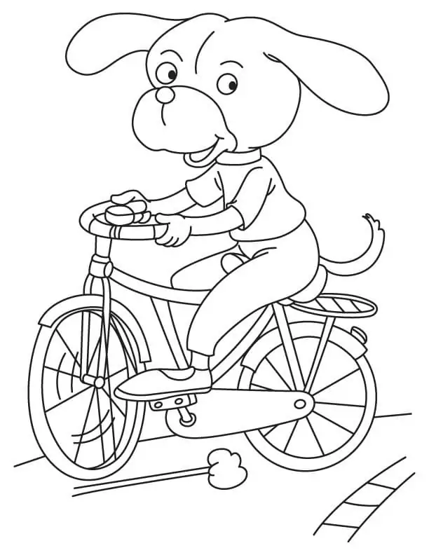 Dog Riding A Bicycle