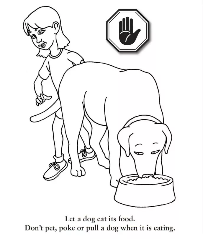 Dog Safety 5