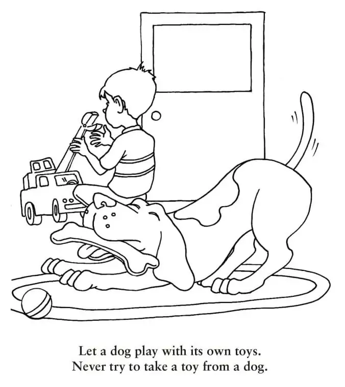 Dog Safety for Kid