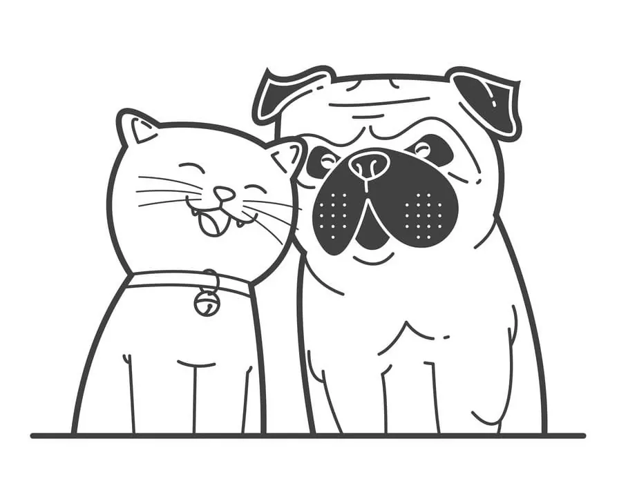 Dog and Cat for Preschoolers