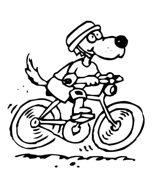 Dog on A Bicycle
