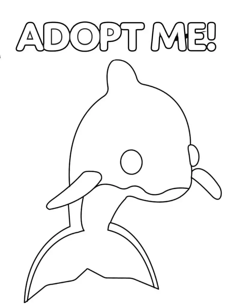 Dolphin Adopt Me