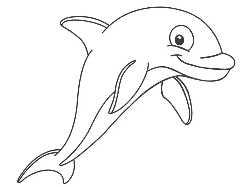 Dolphin Free Printable