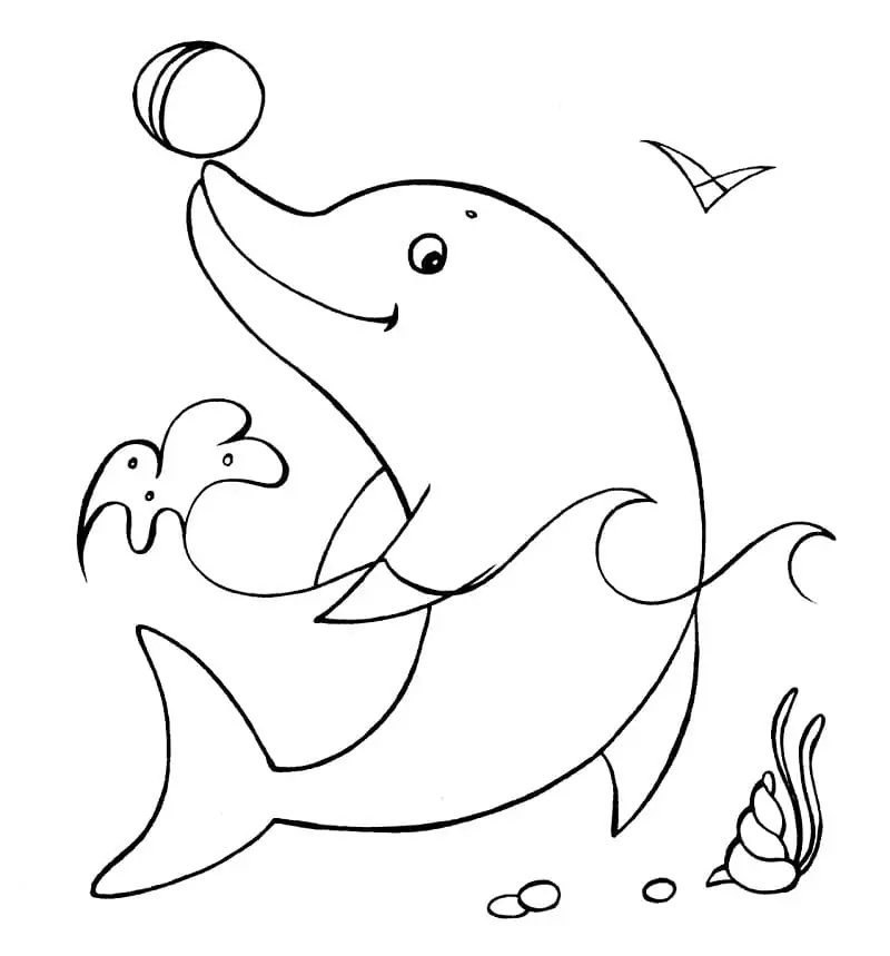 Dolphin With The Ball