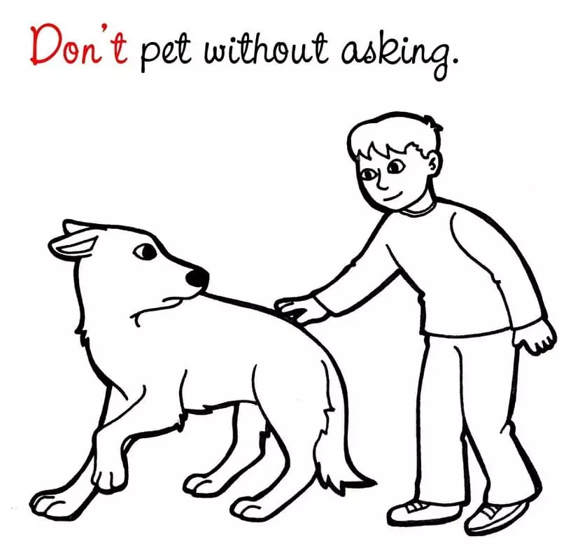 Don’t Pet Without Asking