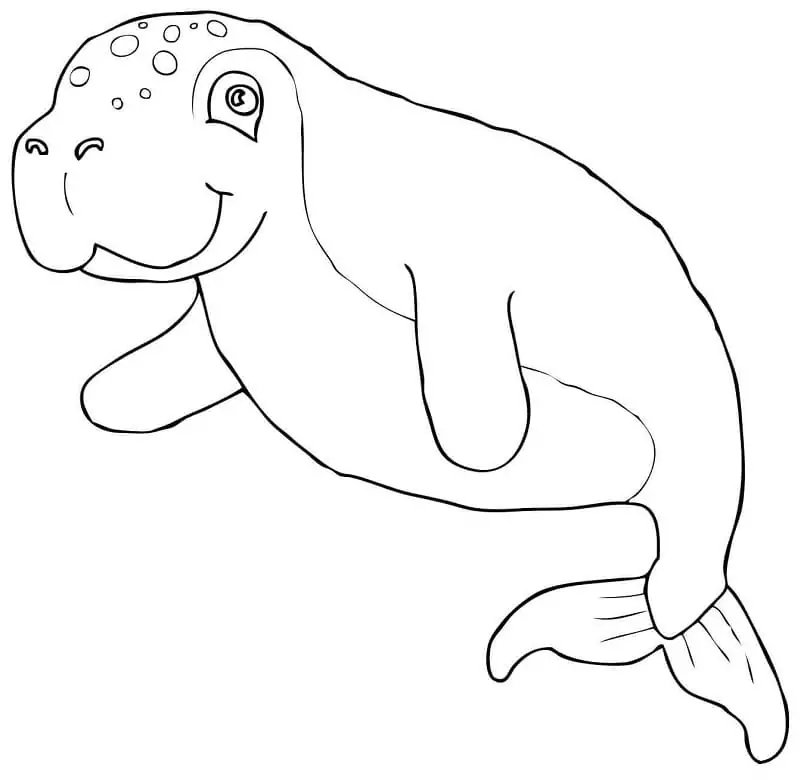 Dugong Smiling