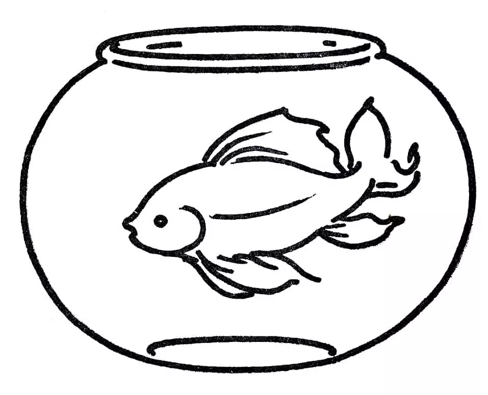 Easy Fish Bowl