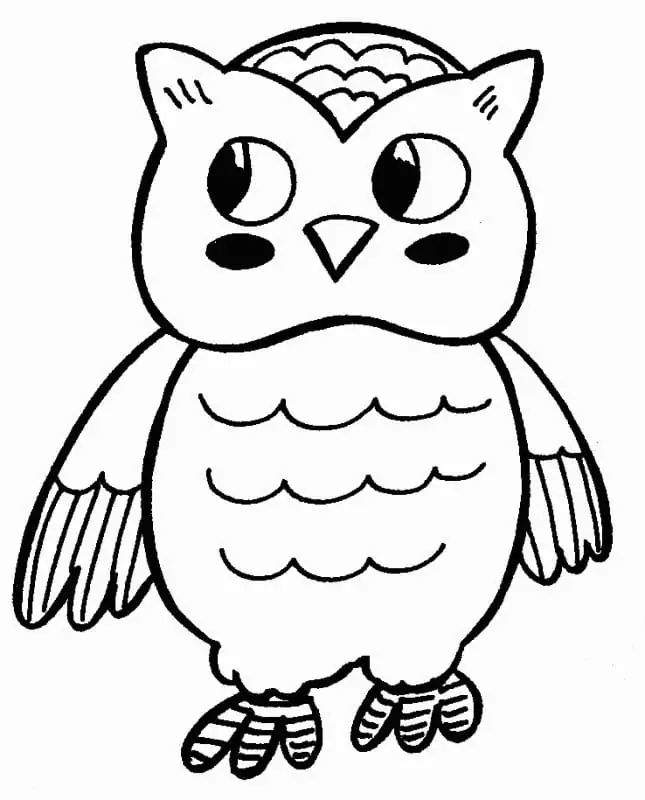 Easy Owl