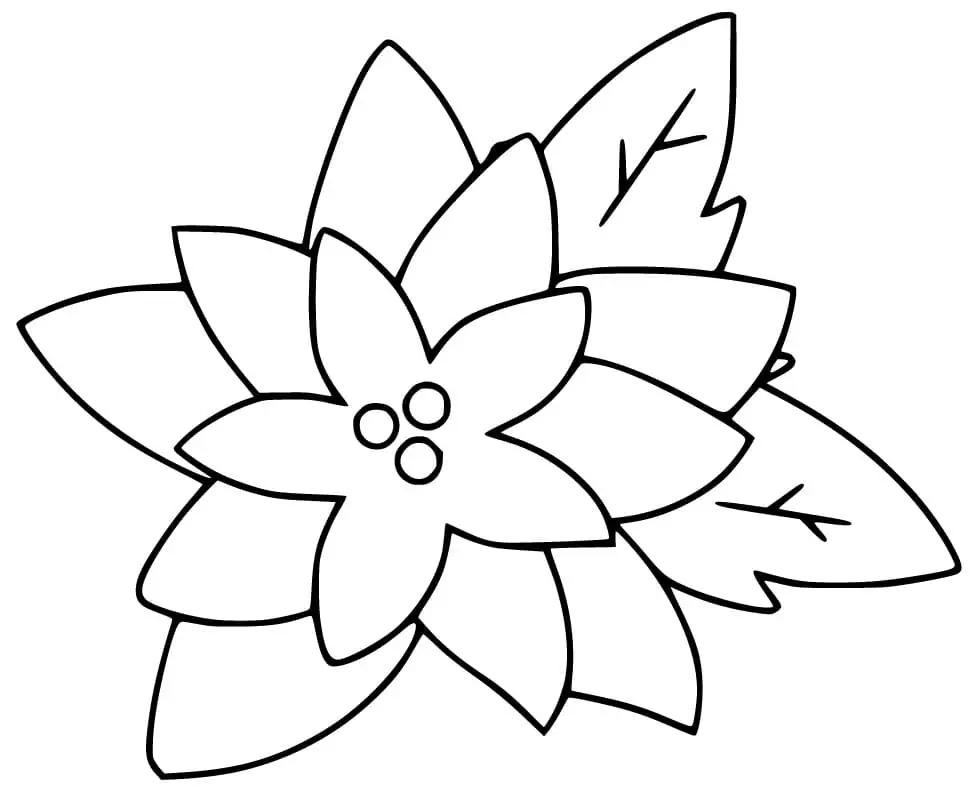 Easy Poinsettia Flower