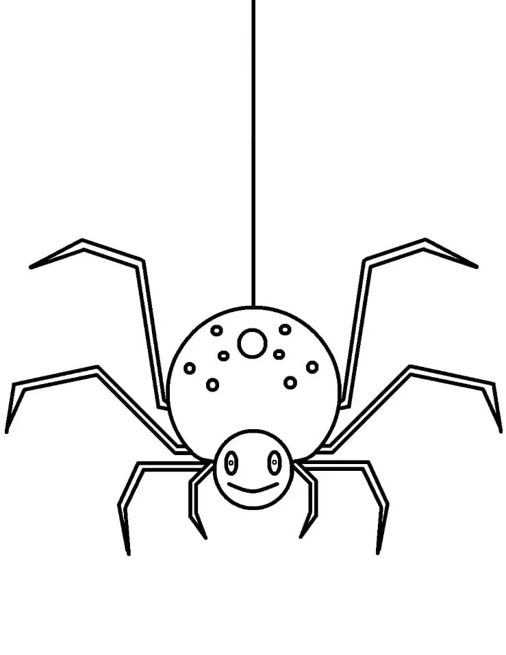 Einfacher Spider