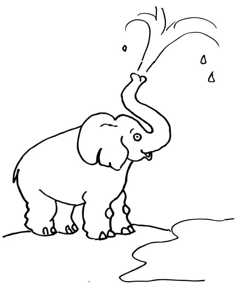 Elefant bläst Wasser