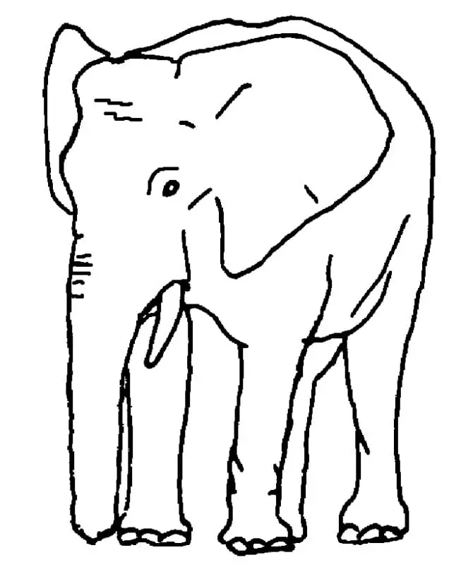 Elefant bedruckbar
