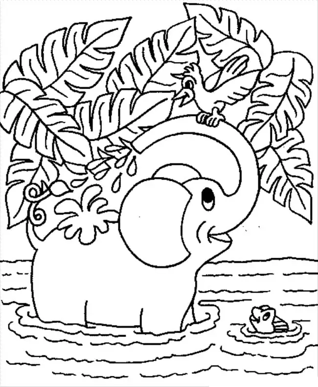 Elefant und Vogel