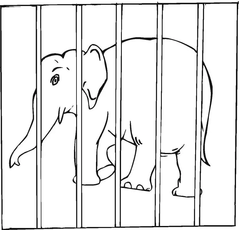 Elefant im Käfig