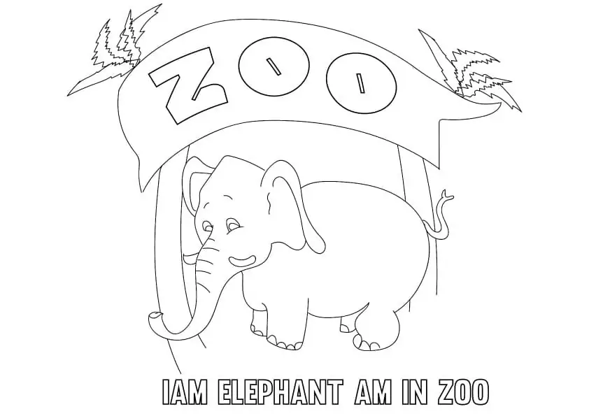 Elephant in Zoo