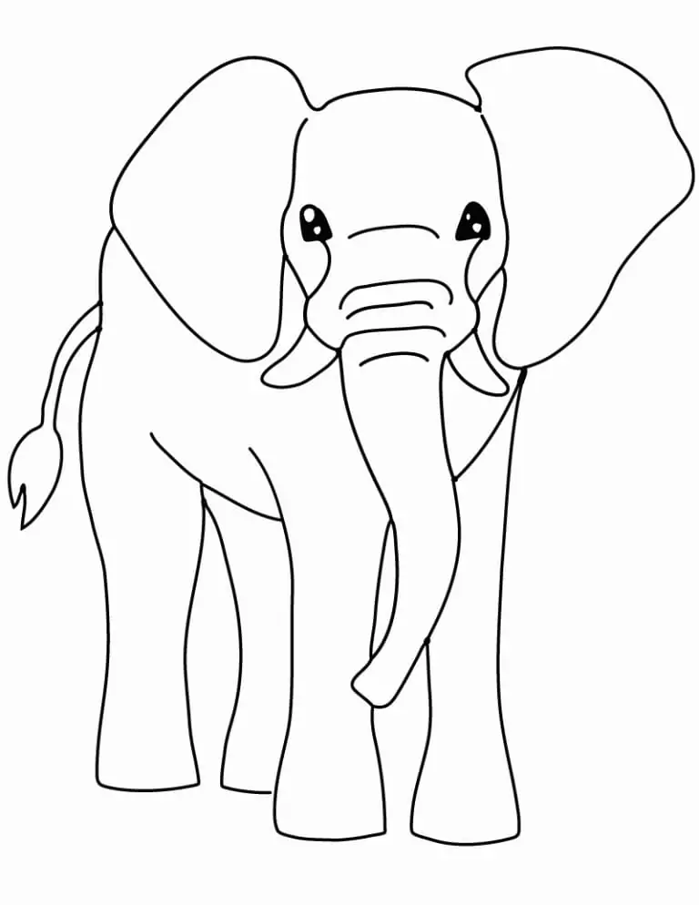 Elefant zur Farbe