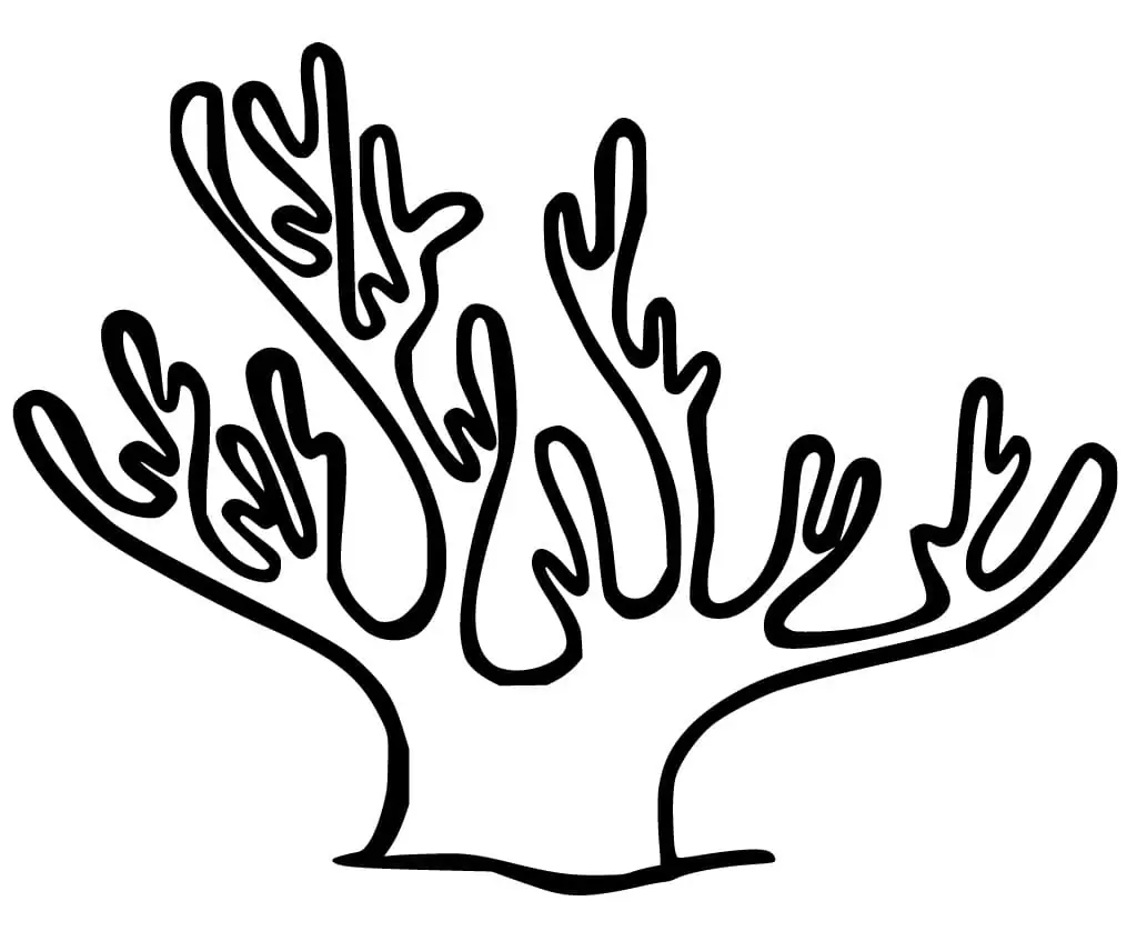 Printable Coral Coloring Page - Free Printable Coloring Pages for Kids
