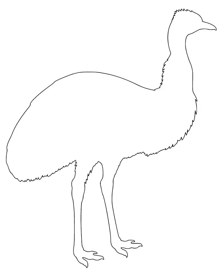 Emu Outline