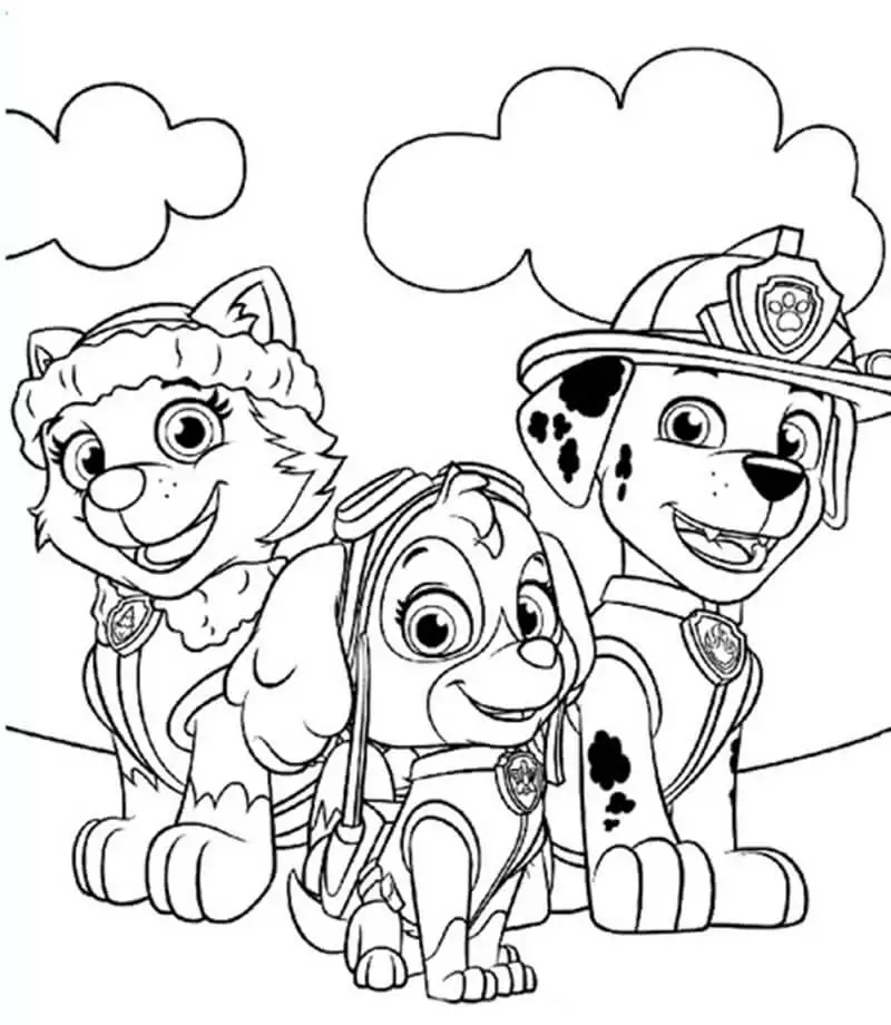 Everest, Skye and Marshall in Paw Patrol