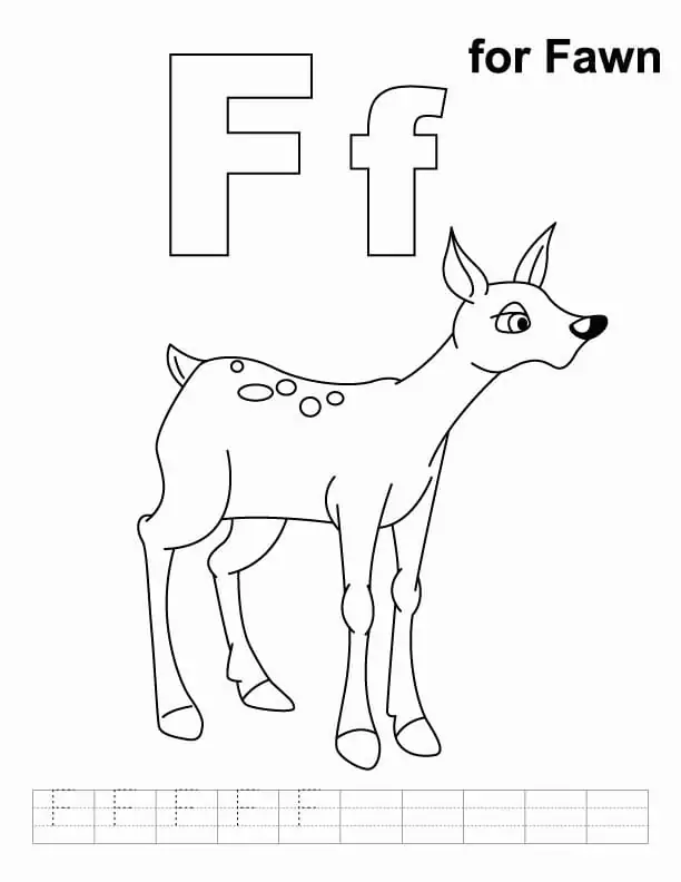 F for Fawn