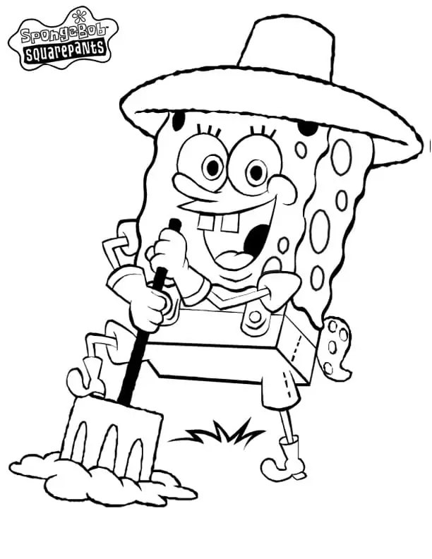 Bauer SpongeBob