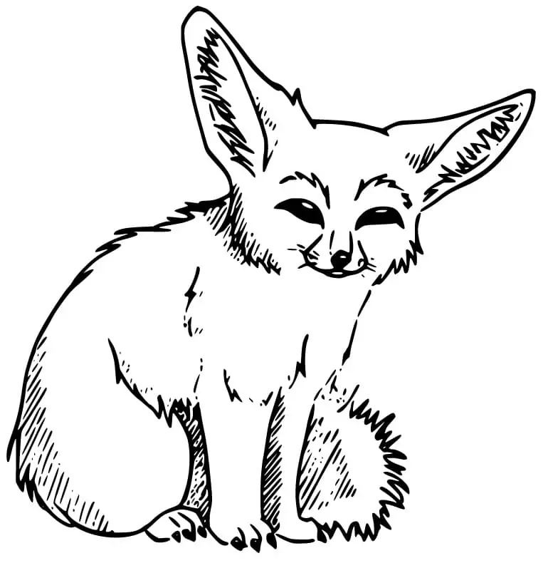Fennec Fox 4