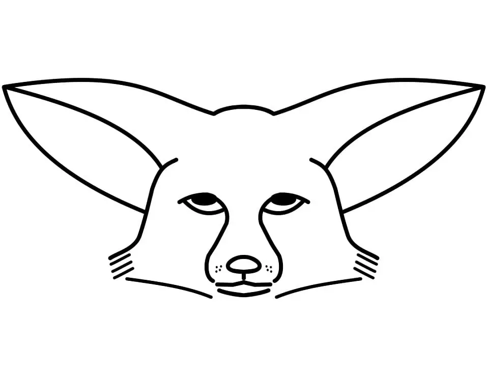 Fennec Fox Face