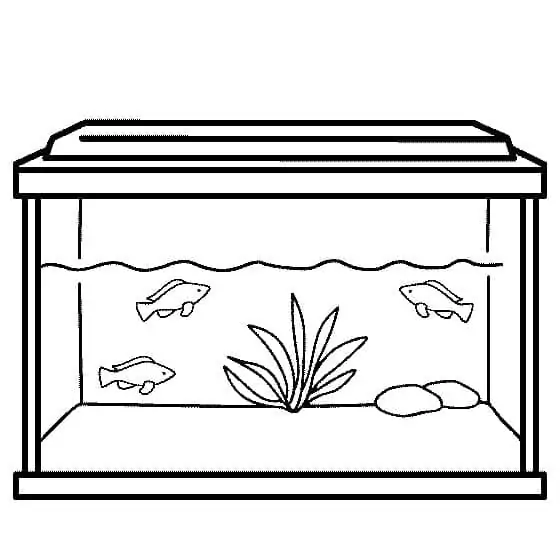 Easy Aquarium Coloring Page - Free Printable Coloring Pages for Kids