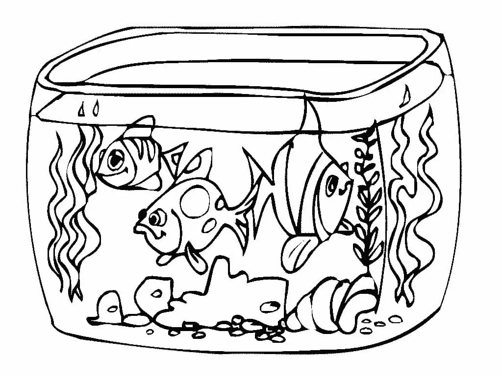 Fishbowl Aquarium