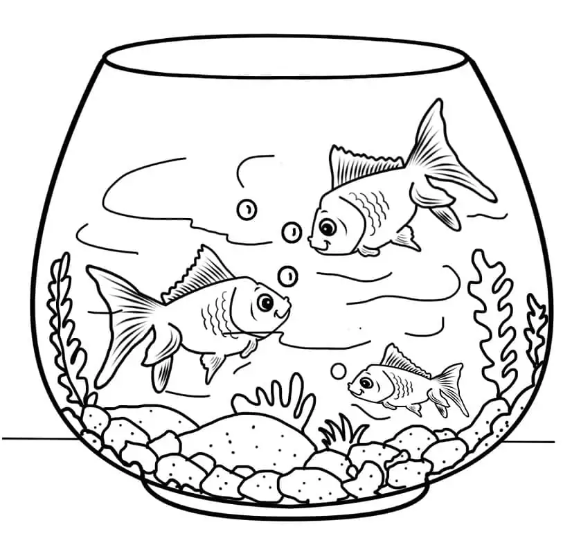 Fishes in Fish Bowl