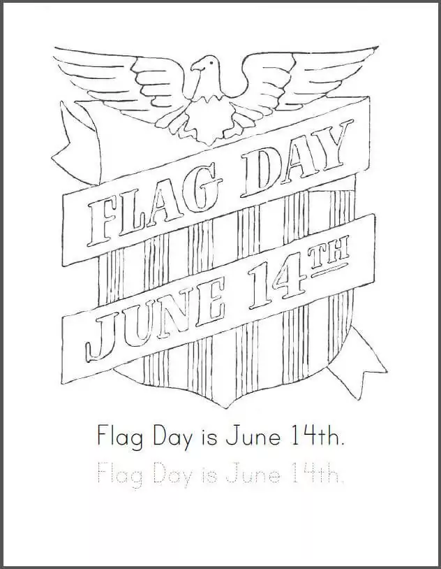 Flag Day 6